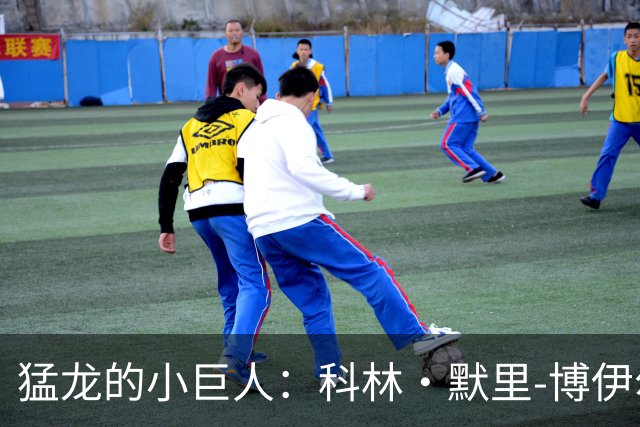 猛龙的小巨人：科林·默里-博伊尔斯的篮球之旅